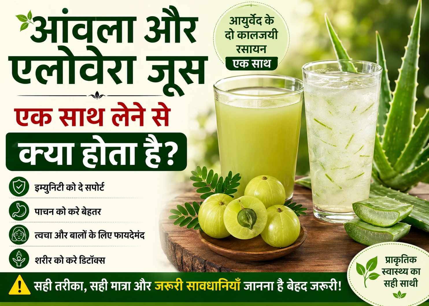 आंवला और एलोवेरा जूस साथ पीने के फायदे: आयुर्वेद के अनुसार पूरी जानकारी